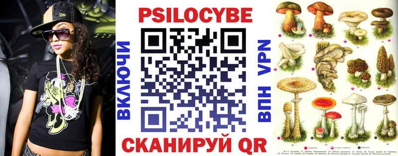 Галлюциногенные грибы Cubensis  как найти закладки  Железногорск-Илимский 